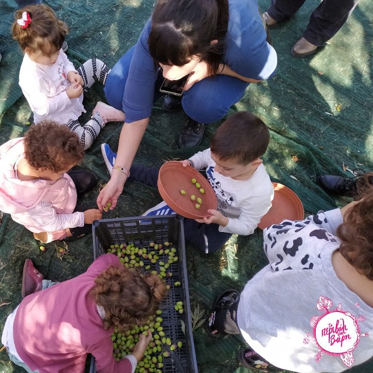 a girl with little childs playing with green olives from the crate at 'The Orchard in Vari' crops
